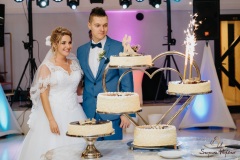 Wesele-Fotograf-Fotografia-Ślubna-Śląsk-Żory-Rybnik-Wodzisław-Śląski-Jastrzębie-Zdrój-115