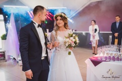 Wesele-Fotograf-Fotografia-Ślubna-Śląsk-Żory-Rybnik-Wodzisław-Śląski-Jastrzębie-Zdrój-132