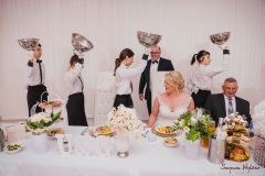 Wesele-Fotograf-Fotografia-Ślubna-Śląsk-Żory-Rybnik-Wodzisław-Śląski-Jastrzębie-Zdrój-154