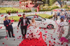 Wesele-Fotograf-Fotografia-Ślubna-Śląsk-Żory-Rybnik-Wodzisław-Śląski-Jastrzębie-Zdrój-2