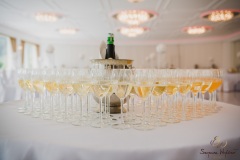 Wesele-Fotograf-Fotografia-Ślubna-Śląsk-Żory-Rybnik-Wodzisław-Śląski-Jastrzębie-Zdrój-20