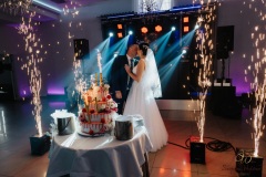 Wesele-Fotograf-Fotografia-Ślubna-Śląsk-Żory-Rybnik-Wodzisław-Śląski-Jastrzębie-Zdrój-211