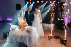 Wesele-Fotograf-Fotografia-Ślubna-Śląsk-Żory-Rybnik-Wodzisław-Śląski-Jastrzębie-Zdrój-302