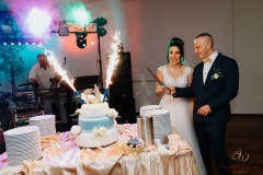 Wesele-Fotograf-Fotografia-Ślubna-Śląsk-Żory-Rybnik-Wodzisław-Śląski-Jastrzębie-Zdrój-319