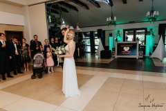 Wesele-Fotograf-Fotografia-Ślubna-Śląsk-Żory-Rybnik-Wodzisław-Śląski-Jastrzębie-Zdrój-343