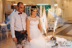 Wesele-Fotograf-Fotografia-Ślubna-Śląsk-Żory-Rybnik-Wodzisław-Śląski-Jastrzębie-Zdrój-353