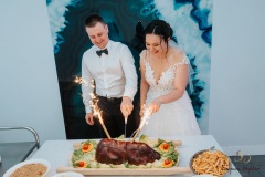 Wesele-Fotograf-Fotografia-Ślubna-Śląsk-Żory-Rybnik-Wodzisław-Śląski-Jastrzębie-Zdrój-71